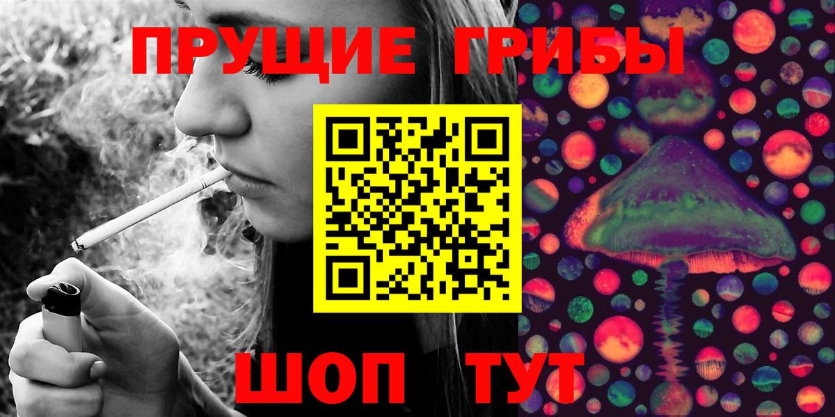 Псилоцибиновые грибы прущие грибы Полевской