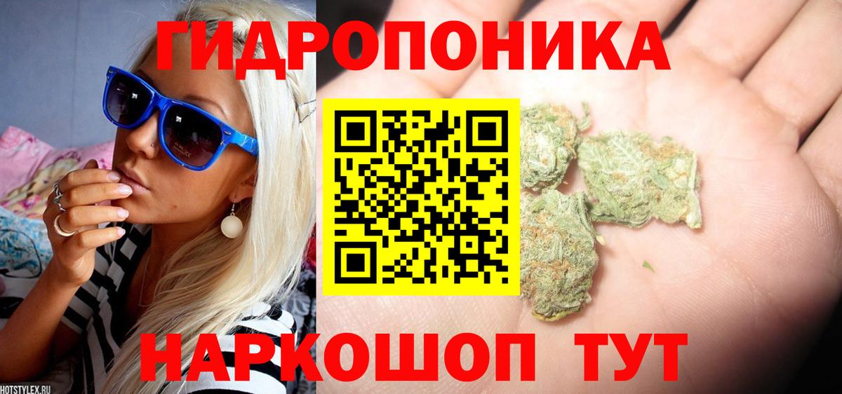 Конопля сатива Полевской